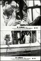 cca 1975 Steven Spielberg ,,A cápa című amerikai kalandfilmjének jelenetei, 8 db vintage produkciós filmfotó, ezüst zselatinos fotópapíron, a használatból eredő (esetleges) kisebb hibákkal, 18x24 cm