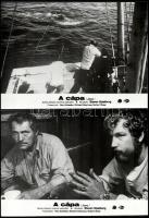 cca 1975 Steven Spielberg ,,A cápa" című amerikai kalandfilmjének jelenetei, 8 db vintage produ...