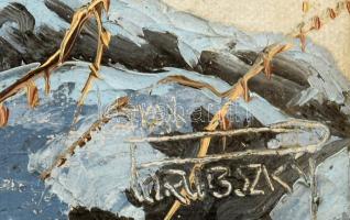 Juhász E Porubszky jelzéssel: Téli táj. Olaj, vászon. fakeretben. 25x31 cm