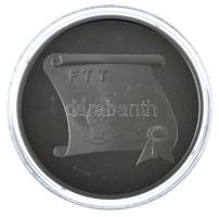 ~2003. FTT Felsőoktatási és Tudományos Tanács - 10 éves fém emlékérem (42,5mm) T:PP