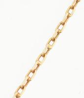 Arany (Au) 14 K anker nyaklánc gyöngyös kagyló függővel, jelzett, h: 54 cm, 1,8×1,1 cm, bruttó: 4,4 ...