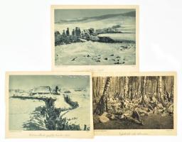 cca 1914-1918 Az Érdekes Újság 3 db háborús képe: Galíciai állások egy folyó homokos részén; Tábori ágyúk; Népfölkelők erdei táborozása. Fénynyomat, papír, kissé sérült lapszélekkel, 27x20,5 cm