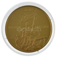 Csontos Attila DN "Talpra magyar - Az 1848-as forradalom története / Nemzeti Dal" aranyozo...