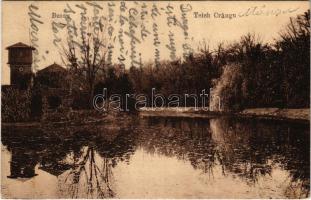 1918 Buzau, Buzeu, Bodzavásár; Teich Crangu / lake (EK)