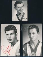 Farkas János (1942-1989) a Vasas olimpiai bajnok labdarúgójának aláírása egy őt ábrázoló fotón, 14x8 cm. Valamint Albert Flórián a FTC válogatott labdarúgójának 2 fotója, az egyiken nyomtatott aláírással, 14x8 cm és 9x6 cm közötti méretben