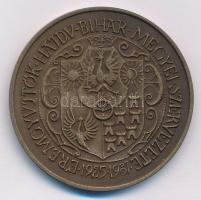 Tóth Sándor (1933-) 1987. "MÉE Hajdú-Bihar Megyei szervezete / Rákóczi György" bronz emlék...