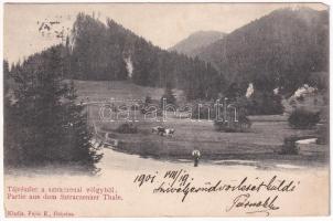 1901 Dobsina, Dobschau; tájrészlet a Sztracenai völgyből. Fejér E. kiadása / Partie aus dem Sztraczenaer Tale / Stratena Valley (EM)