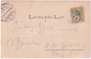 1900 Fülek, Filakovo; látkép, vár. Fénynyomat Divald műintézetéből / Filakovsky hrad / general view,...