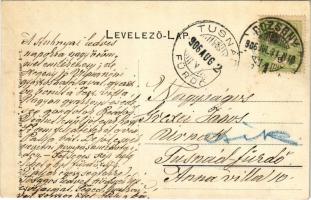 1906 Pozsony, Pressburg, Bratislava; vár, gőzhajó. Fecskés üdvözlő montázs / castle, steamship. Gree...