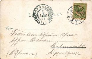 1903 Pozsony, Pressburg, Bratislava; vár, gőzhajó. Duschinsky G. kiadása / castle, steamship (EB)