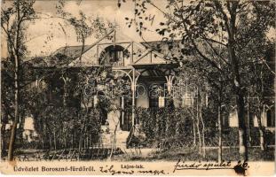 1907 Borosznófürdő, Brusno-kúpele (Borosznó, Brusznó, Brusno); Lajos lak. Lechnitzky Otto fénynyomdája kiadása / villa (fl)