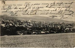 1913 Gyöngyöspata, Gyöngyös-Pata; látkép. Fanto és Steiner kiadása (EK)
