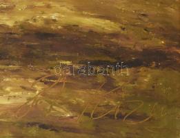 Olvashatatlan jelzéssel: Őszi erdő. Olaj, farost. Dekoratív fakeretben. 74x56 cm