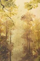 Olvashatatlan jelzéssel: Őszi erdő. Olaj, farost. Dekoratív fakeretben. 74x56 cm