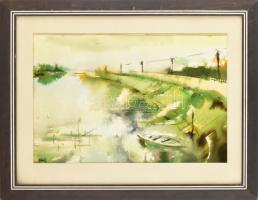 Olvashatatlan (Bihari?) jelzéssel: Vízparti táj. Akvarell, kréta, papír. Üvegezett fakeretben. 33x50 cm