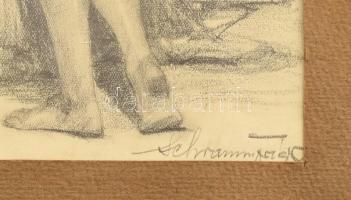 Olvashatatlan jelzéssel (Schramm Viktor?): Álló női akt. Ceruza, papír. Dekoratív fakeretben. 26x15 ...
