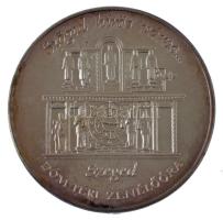 Fritz Mihály (1947-) 1998. "Dankó Pista Emlékéért Alapítvány" fém emlékérem tokban (42,5mm...