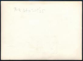 1967 Vasberényi Géza (1894-1981) egyik Petőfi-emlékével, Bereth Ferenc (1909-1991) fotója, pecséttel...