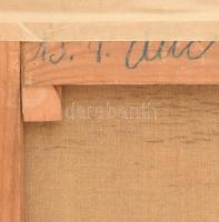 Szüle Péter (1886-1944): Olvasó hölgy portréja. Olaj, vászon, jelzett. Dekoratív fakeretben, 60×50 c...