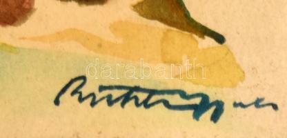 Olvashatatlan jelzéssel: Tanya. Akvarell, papír. Üvegezett fakeretben, 20x26,5 cm