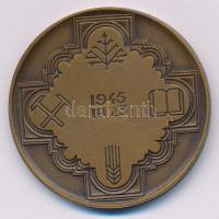 Fritz Mihály (1947-) 1982. "Zirc" kétoldalas bronz emlékérem (42,5mm) T:AU