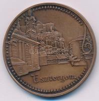 Lapis András (1942-) 1992. MÉE Esztergomi Csoport / 100 éves a fillér kétoldalas bronz emlékérem (42,5mm) T:AU Adamo EM4