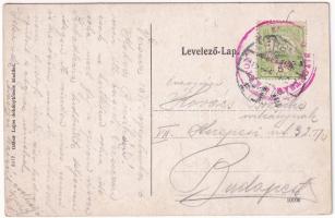 1915 Versec, Werschetz, Vrsac; Park és szanatórium. Gábor Lajos kiadása / park and sanatorium (EK)