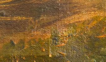 Olvashatatlan jelzéssel: Vízimalom. Olaj, karton, fakeretben, 39x55 cm. / Unknown painter, unreadabl...