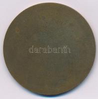 ~1970. "Lenin Kohászati Művek Diósgyőr 1770" bronz emlékérem (51mm) T:AU