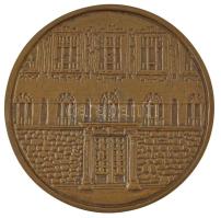 Nagy Lajos (1949-) DN "Bessenyei György Gimnázium, Kisvárda 1911" bronz emlékérem (82mm) T...