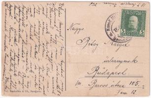 1913 Ilidza, Ilidze bei Sarajevo; + "K. und K. Milit. Post Sarajevo" (EK)