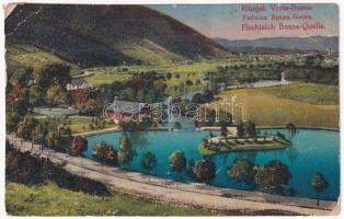 1917 Vrelo Bosne, Ribnjak / Fischteich / fishing lake + "K. und K. Milit. Post Ilidza" (r)