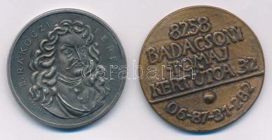 Borsos Miklós (1906-1990) 1981. "Sárospataki iskola / II. Rákóczi Ferenc" ezüstpatinázott ...