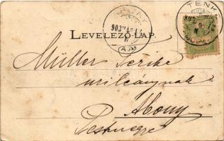 1903 Tenke, Tinca; Körös-partról nézve. Lévy Dávid kiadása / Cris riverside (fl)