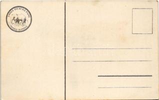 Abbazia, Opatija; Móló / molo. Bruchsteiner és Fia (Budapest) Art Nouveau, litho