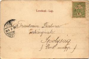 1904 Fehértemplom, Ung. Weisskirchen, Bela Crkva; Vásár utca, templom. Berthold Hepke kiadása / Mark...