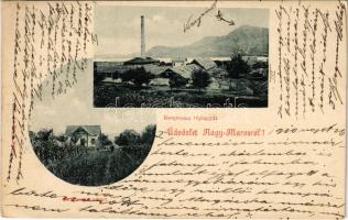 1910 Nagymaros, Nagy-Maros; Bergmann téglagyár, Bergmann-sziget, villa, szőlő (fl)