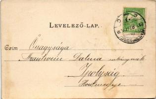 1910 Nagymaros, Nagy-Maros; Bergmann téglagyár, Bergmann-sziget, villa, szőlő (fl)