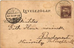 1901 Balatonalmádi, B.-Almádi; Terike nyaraló, Brenner L. és Fekete K. nyaralója. Krausz A. fia kiad...