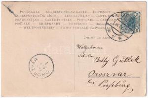 1905 Zell am See, gentleman. photo (EK)