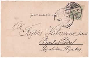 1905 Kovácspatak, Kovacov; Otthon villa. Kardos Dezső kiadása / hotel villa (EK)