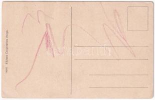 Azuga, Vedere partiala / general view (EK)