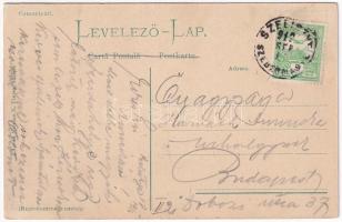 1912 Szelistye, Salistea Sibiului, Saliste; Vila Comsia / villa. Nicolae N. Tintea kiadása