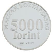 2009. 5000Ft Ag Radnóti Miklós kapszulában, sérült tanúsítvánnyal T:PP  Adamo EM220