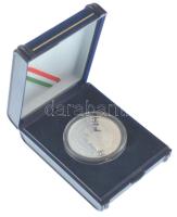 Asszonyi Tamás (1942-) 2000. "Magyar Millenium / Múltunkkal a jövőbe - Pest megye" peremén...