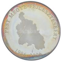 2006. "Pest Megyei Területfejlesztési Tanács / Pest megye fejlesztéséért 1996-2006" ezüstö...