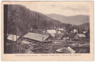 Naruja, Neruzsa; Valea Naruja platoul Gociului / Narujatal, Plateau Gociu / Naruja-völgy, Gociu tető, fűrésztelep, fatelep. Adler Oscar Brasov felvétele / valley, mountains, sawmill (Rb)