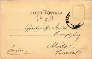 1899 (Vorläufer) Bucharest, Bukarest, Bucuresti, Bucuresci; Panorama I. (pinhole)