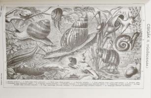 Révai Nagy Lexikona I-XXI. kötet. (Teljes!) Szekszárd, 1989-1996, Szépirodalmi-Babits Könyvkiadó. Ha...