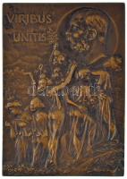 Szirmay Tony (Antal) (1871-1938) 1905. Ferenc József 75. születésnapja alkalmából készült kétoldalas bronz plakett IN MEMORIAM GLORIOSISSIMAM DIEI - NATALIS - LXXV - SUAE MAIESTATIS FRANC JOSEPH I DEI GRATIA IMPER AUSTRIAE REX BOHEM GALIC ILLYR ETC ET REX APOST HUGARIAE MDCCCCV ANTE DIEM XV-KAL SEPT (71x50mm) T:AU